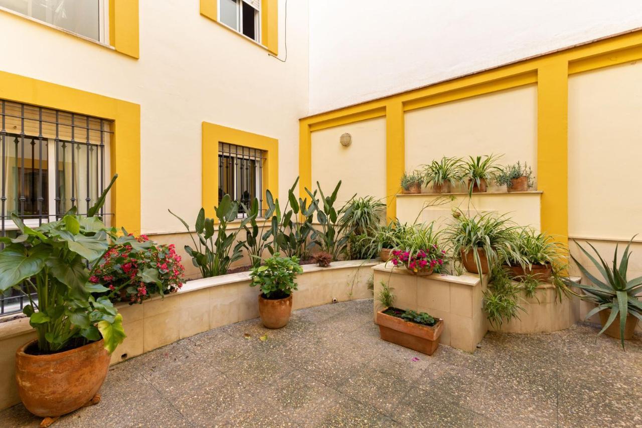 Ohliving Triana Apartamento Sevilla