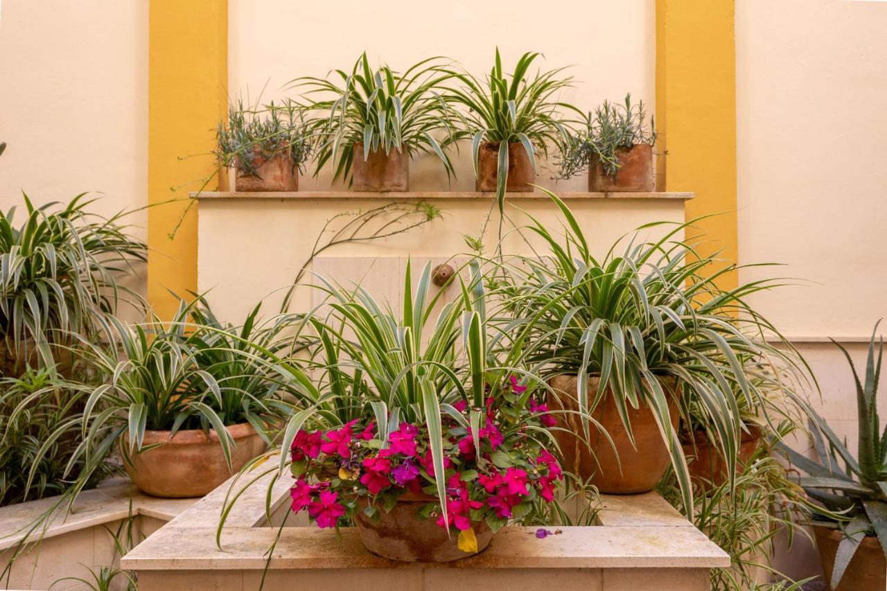 Ohliving Triana Apartament Sevilla